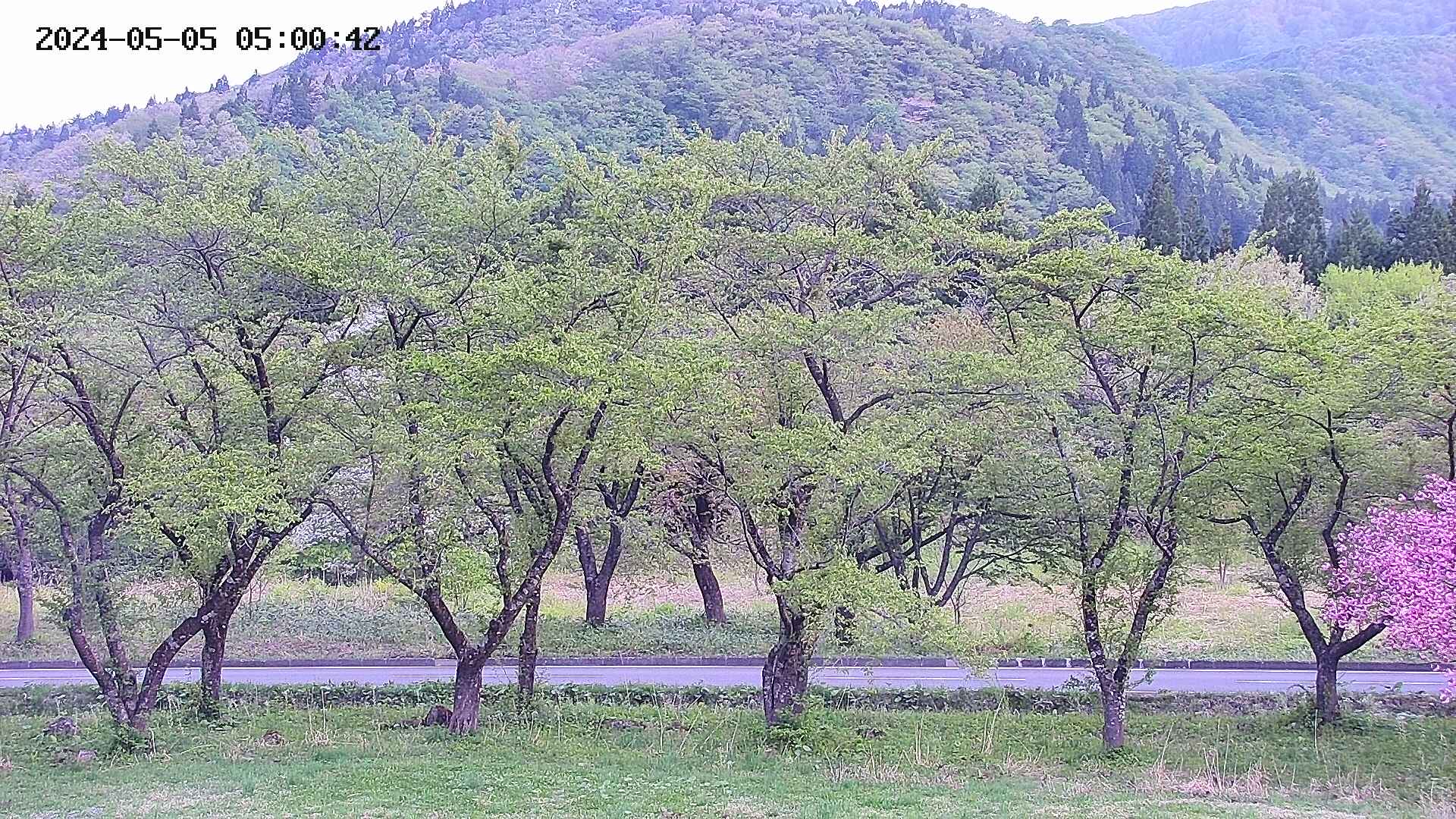 takano3-20240505050043.jpg