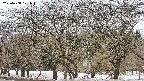takano3-20250408121043.jpg