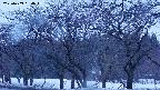 takano3-20250409050043.jpg