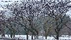 takano3-20250409051045.jpg