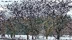 takano3-20250409052044.jpg