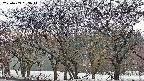 takano3-20250409053042.jpg