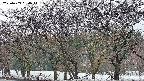 takano3-20250409054042.jpg