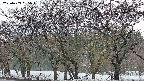 takano3-20250409055044.jpg
