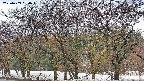takano3-20250409060043.jpg