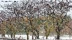 takano3-20250409063044.jpg