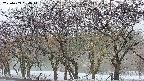 takano3-20250409064043.jpg