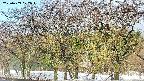 takano3-20250409072045.jpg