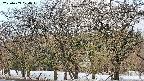 takano3-20250409074044.jpg