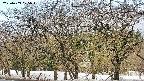 takano3-20250409075044.jpg