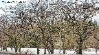 takano3-20250409080042.jpg