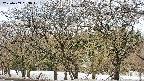takano3-20250409083047.jpg