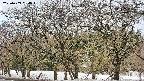 takano3-20250409084047.jpg