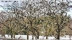 takano3-20250409085045.jpg