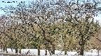 takano3-20250409091047.jpg
