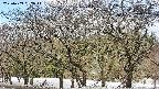 takano3-20250409092046.jpg
