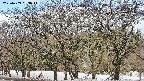 takano3-20250409093046.jpg