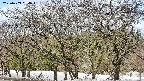 takano3-20250409094046.jpg
