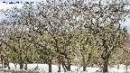 takano3-20250409095045.jpg