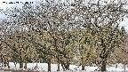 takano3-20250409100045.jpg