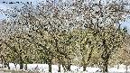 takano3-20250409101044.jpg