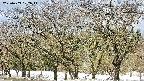 takano3-20250409102045.jpg