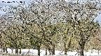 takano3-20250409103047.jpg