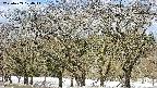 takano3-20250409104045.jpg