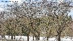 takano3-20250409111045.jpg
