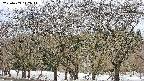 takano3-20250409112045.jpg
