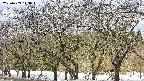 takano3-20250409113045.jpg