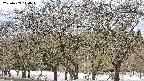 takano3-20250409114044.jpg