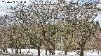 takano3-20250409115045.jpg