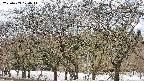 takano3-20250409120046.jpg