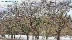 takano3-20250409121045.jpg