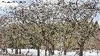 takano3-20250409123046.jpg