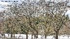takano3-20250409124045.jpg