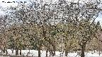 takano3-20250409125046.jpg