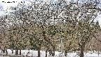 takano3-20250409131045.jpg