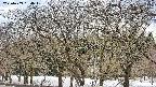 takano3-20250409134045.jpg