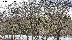 takano3-20250409135046.jpg