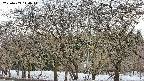 takano3-20250409140046.jpg