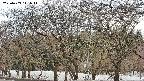 takano3-20250409141045.jpg