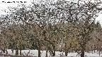 takano3-20250409142045.jpg