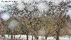 takano3-20250409143043.jpg