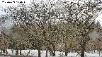takano3-20250409144045.jpg