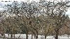 takano3-20250409152046.jpg