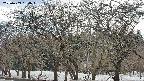 takano3-20250409154046.jpg