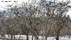 takano3-20250409155044.jpg