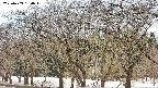 takano3-20250409160044.jpg